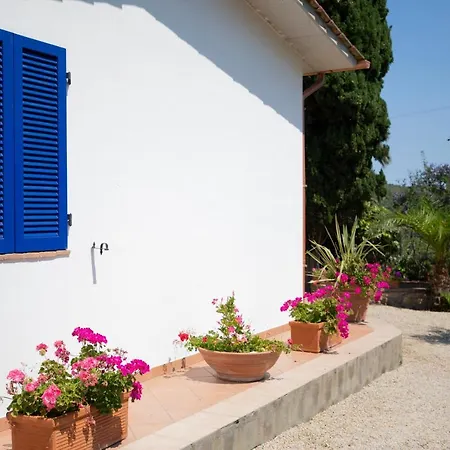 Le Palme Casa vacanze