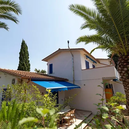 Le Palme